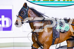 2026_PACEPIX_GP10042026_RACE7_ArtIdeal_WIN_WEB-18