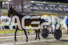 2026_PACEPIX_GP10042026_RACE7_ArtIdeal_WIN_WEB-25