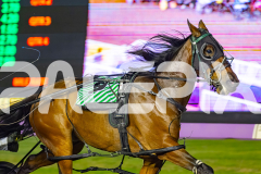 2026_PACEPIX_GP10042026_RACE7_ArtIdeal_WIN_WEB-4
