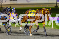 RACE 7 - Artful Major