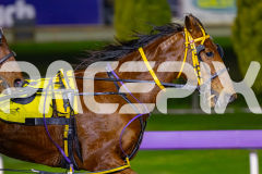 2026_PACEPIX_GP10072026_Race7_ArtfulMajor_WIN_WEB-10