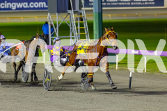 2026_PACEPIX_GP10072026_Race7_ArtfulMajor_WIN_WEB-12