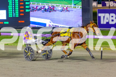 2026_PACEPIX_GP10072026_Race7_ArtfulMajor_WIN_WEB-14