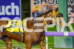 2026_PACEPIX_GP10072026_Race7_ArtfulMajor_WIN_WEB-17