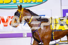2026_PACEPIX_GP10072026_Race7_ArtfulMajor_WIN_WEB-19