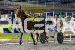 2026_PACEPIX_GP10072026_Race7_ArtfulMajor_WIN_WEB-21