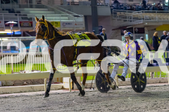 2026_PACEPIX_GP10072026_Race7_ArtfulMajor_WIN_WEB-22