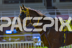 2026_PACEPIX_GP10072026_Race7_ArtfulMajor_WIN_WEB-23