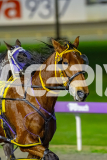 2026_PACEPIX_GP10072026_Race7_ArtfulMajor_WIN_WEB-3