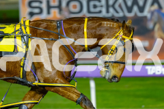 2026_PACEPIX_GP10072026_Race7_ArtfulMajor_WIN_WEB-6