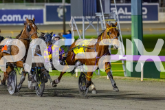 2026_PACEPIX_GP10072026_Race7_ArtfulMajor_WIN_WEB-8