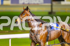 2025_PACEPIX_GP08072025_Race7_Arum_WIN_WEB-12
