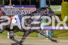 2026_PACEPIX_GP26052026_RACE7_Azione_WIN_WEB-6