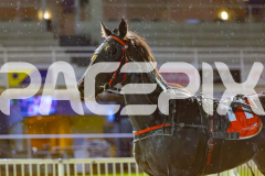 2026_PACEPIX_GP27032026_RACE7_BazaarPackage_WIN_WEB-16