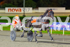 2026_PACEPIX_GP27032026_RACE7_BazaarPackage_WIN_WEB-9