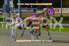 2026_PACEPIX_GP25082026_RACE7_BeachCaptain_WIN_WEB-15