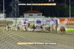 2026_PACEPIX_GP25082026_RACE7_BeachCaptain_WIN_WEB-5