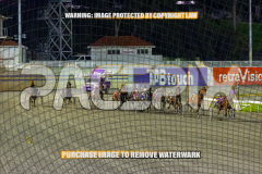 2026_PACEPIX_GP25082026_RACE7_BeachCaptain_WIN_WEB-6