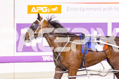 2025_PACEPIX_GP29082025_RACE7_Bluto_WIN_WEB-7