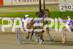 RACE 7 - Bunjil Man