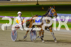 2025_PACEPIX_GP22042025_Race7_BunjilMan_WIN_WEB-10