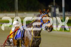 2025_PACEPIX_GP22042025_Race7_BunjilMan_WIN_WEB-19