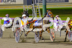 2025_PACEPIX_GP22042025_Race7_BunjilMan_WIN_WEB-4