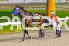 2025_PACEPIX_GP22082025_Race68_CamsBoulder_WIN_WEB-16