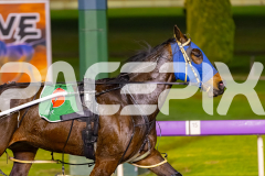 2025_PACEPIX_GP22082025_Race68_CamsBoulder_WIN_WEB-4