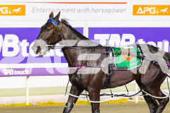 2026_PACEPIX_GP23062026_Race7_CaptainsCreek_WIN_WEB-15