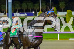 2026_PACEPIX_GP23062026_Race7_CaptainsCreek_WIN_WEB-17
