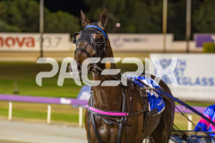 Race 7  - Captains Creek