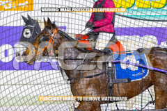 2026_PACEPIX_GP01092026_Race7_CaraDiana_WIN_WEB-14