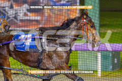 2026_PACEPIX_GP01092026_Race7_CaraDiana_WIN_WEB-3
