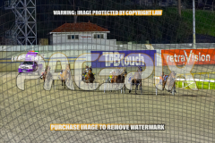 2026_PACEPIX_GP01092026_Race7_CaraDiana_WIN_WEB-4