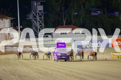 2025_PACEPIX_GP21072025_Race7_CaraDiana_WIN_WEB-1