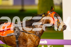 2025_PACEPIX_GP21072025_Race7_CaraDiana_WIN_WEB-20