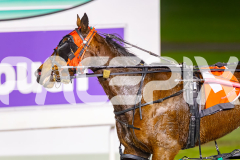 2025_PACEPIX_GP21072025_Race7_CaraDiana_WIN_WEB-23