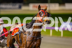 2025_PACEPIX_GP21072025_Race7_CaraDiana_WIN_WEB-25
