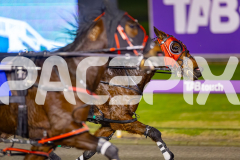 2025_PACEPIX_GP21072025_Race7_CaraDiana_WIN_WEB-5