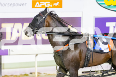 2025_PACEPIX_GP16012026_Race7_ChacoEagle_WIN_WEB-22