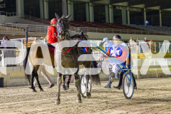 2025_PACEPIX_GP16012026_Race7_ChacoEagle_WIN_WEB-23
