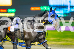 2025_PACEPIX_GP04072025_Race7_LastHardCopy_WIN_WEB-18
