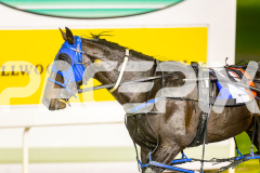 2025_PACEPIX_GP04072025_Race7_LastHardCopy_WIN_WEB-20