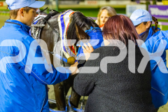 2025_PACEPIX_GP04072025_Race7_LastHardCopy_WIN_WEB-23