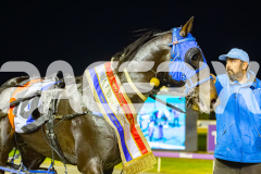 2025_PACEPIX_GP04072025_Race7_LastHardCopy_WIN_WEB-27