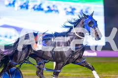 2025_PACEPIX_GP04072025_Race7_LastHardCopy_WIN_WEB-8