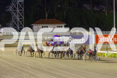 2025_PACEPIX_GP11072025_Race7_CopyCatQueen_WIN_WEB-1