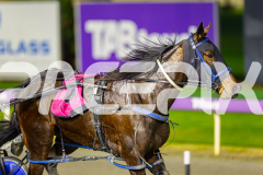 2025_PACEPIX_GP11072025_Race7_CopyCatQueen_WIN_WEB-11