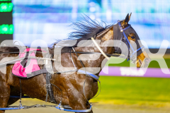 2025_PACEPIX_GP11072025_Race7_CopyCatQueen_WIN_WEB-12
